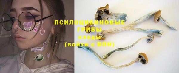 дурь Бугульма