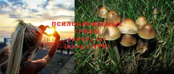 СК Бронницы