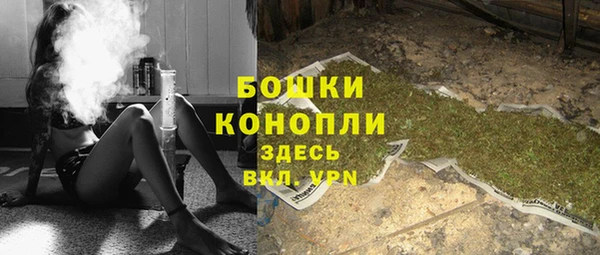 гидропоника Рославль