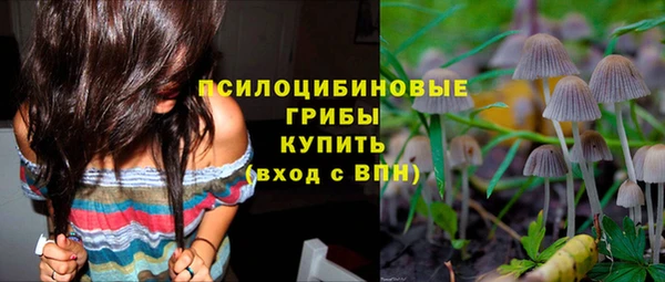 герыч Бородино