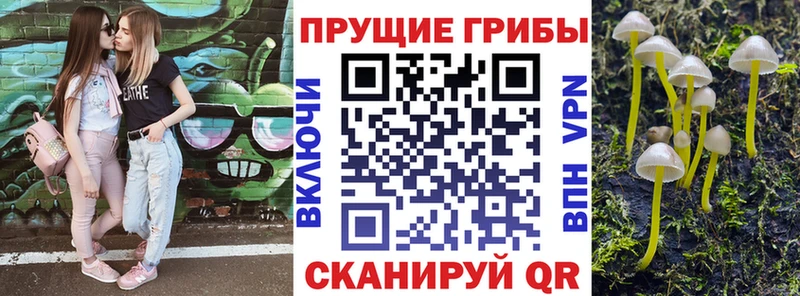 Галлюциногенные грибы мицелий  Надым 